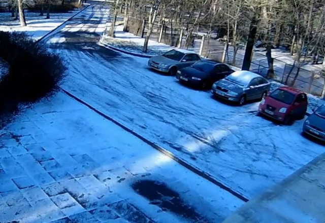 Δέντρο κάνει... βίδες ένα αυτοκίνητο... (βίντεο)