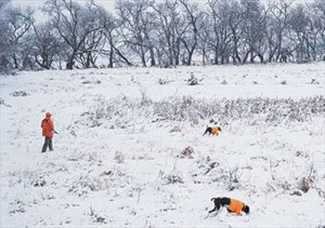 Το χιόνι «παγώνει» το κυνήγι στα Χανιά