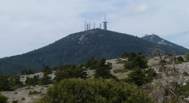 Φθιώτιδα: Πήρε τα βουνά για να κλέψει πετρέλαιο!