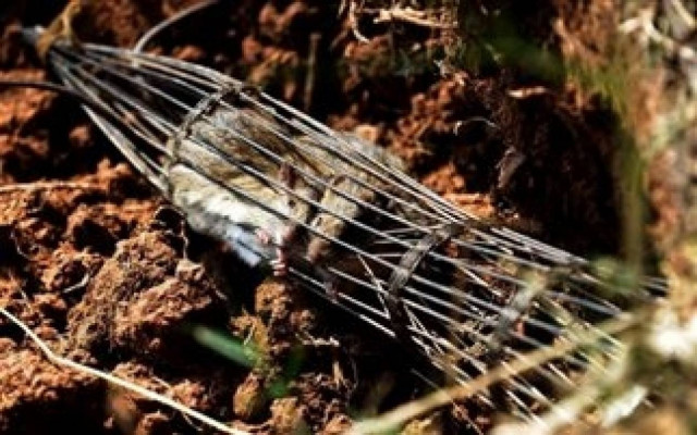 Μετά από αυτό δεν θα θέλετε να ξαναφάτε... σουβλάκι! (pics)