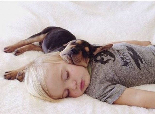 Συγκλονιστικό: Το μωρό και το κουτάβι που μεγαλώνουν δίπλα δίπλα!