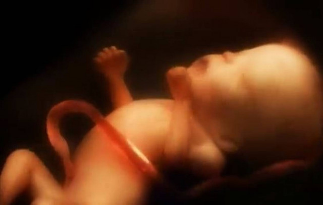 Δείτε το βίντεο: Το θαύμα της κύησης - Εννέα μήνες σε τέσσερα λεπτά