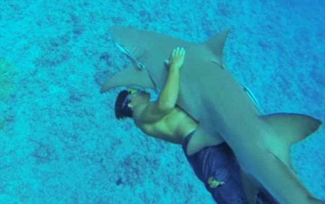 Αγκαλιάζει καρχαρία και κολυμπά μαζί του!