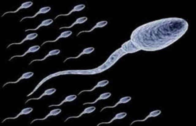 Η κατανάλωση κρασιού δημιουργεί ισχυρότερο σπέρμα