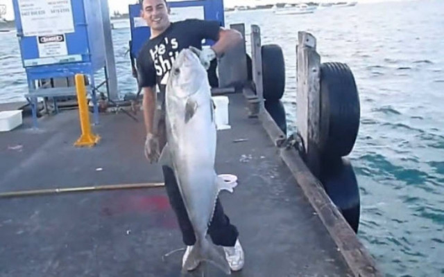 Ψαρεύει ένα μεγάλο μαγιάτικο με μια απλή πετονιά! (βίντεο)