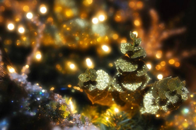 Θεσσαλονίκη: Δέντρο αλληλεγγύης φτιαγμένο από κουτιά με γάλα!