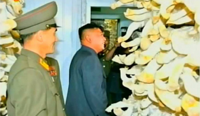 Βόρεια Κορέα: Πουλά το χρυσό της λόγω κρίσης