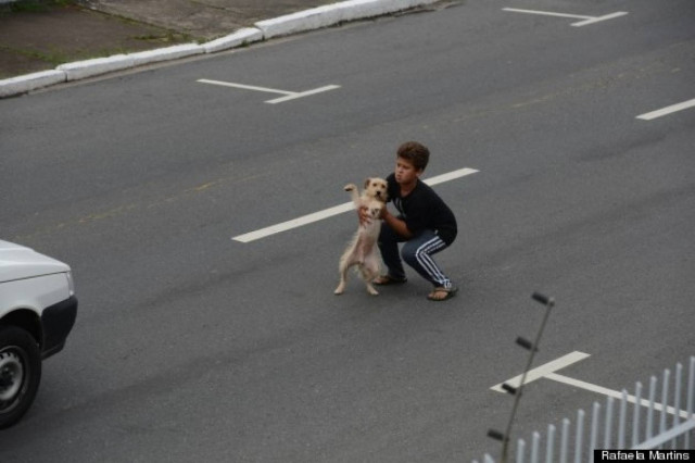 Συγκλονιστικό: 11χρονο αγόρι σώζει έναν τραυματισμένο σκύλο (pics)