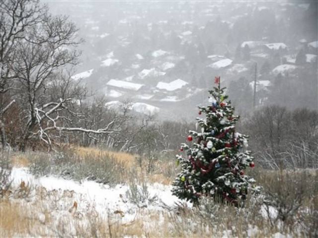 Ποιος στολίζει αυτό το δέντρο;