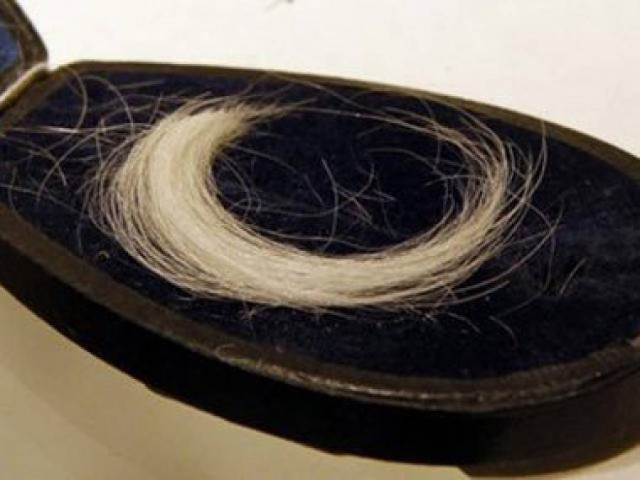 Κατασχέθηκαν  τρίχες αξίας 400.000 ευρώ