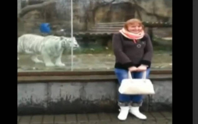 Ποτέ δεν ξέρεις τι σε περιμένει πίσω σου! (βίντεο)