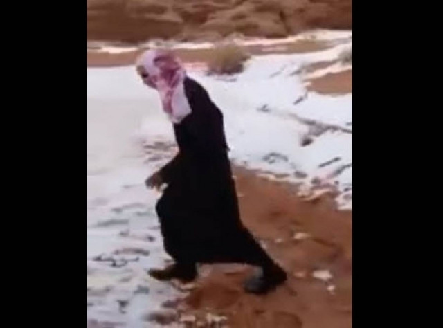 Ο άραβας είδε χιόνι και... τρελάθηκε! (βίντεο)