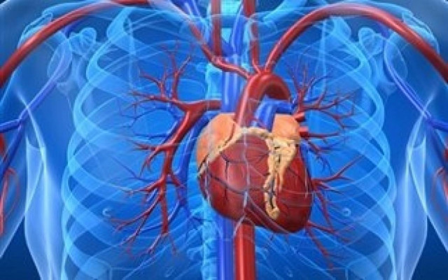 Εμφύτευσαν αυτόνομη καρδιά σε ασθενή