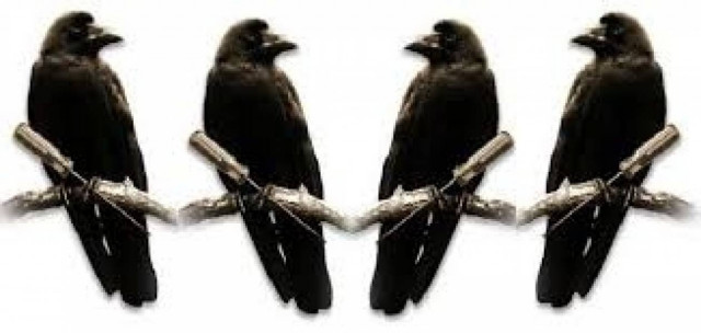 Επιτέλους θα ασχοληθούν με τα «κοράκια» των εισπρακτικών