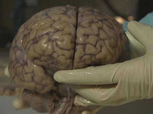 Τι συμβαίνει τη στιγμή του θανάτου μας;