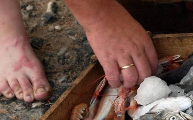 Πιερία: Χριστουγεννιάτικο δώρο ανθρωπιάς