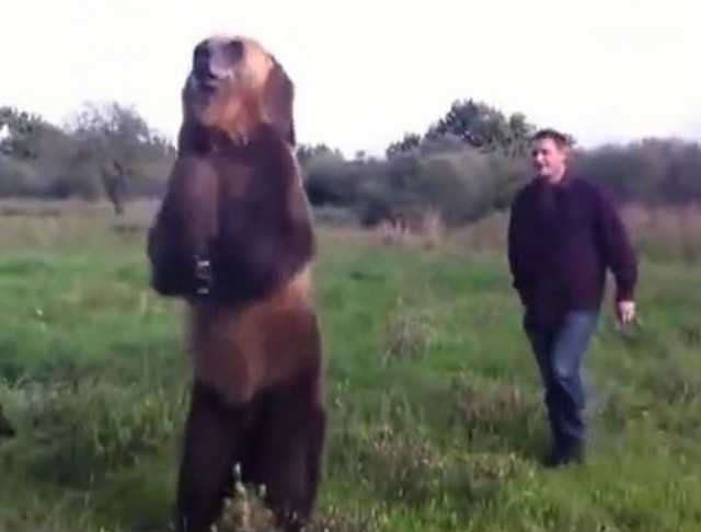 Ο καλύτερος φίλος (αυτού) του ανθρώπου είναι μια... αρκούδα! (βίντεο)