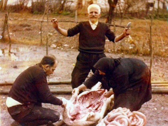 Λάρισα: Αναβιώνει το «Έθιμο της Γουρουνοχαράς»