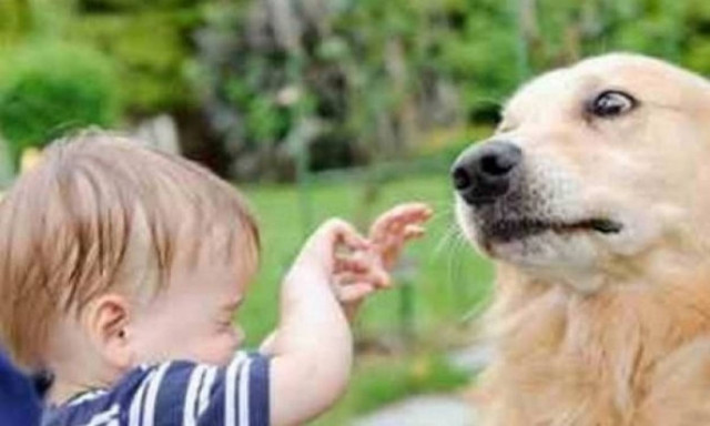 Το παιδί μου φοβάται τα ζώα! Τι να κάνω;