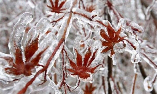 Οταν ο χιονιάς δημιουργεί έργα τέχνης! (εικόνες)