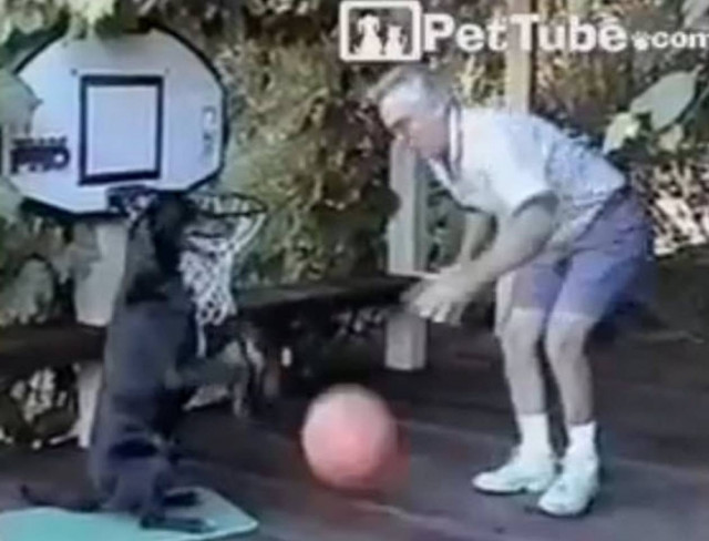 Σκύλος... έτοιμος για το NBA! (βίντεο)