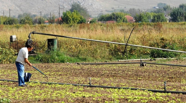 Ποιοι αγρότες απαλλάσσονται από την τήρηση βιβλίων και στοιχείων