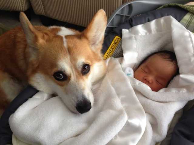 Μία αληθινή φιλία! (pics)