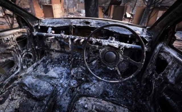 Πήγε για κυνήγι και βρέθηκε απανθρακωμένος μαζί με τα σκυλιά του