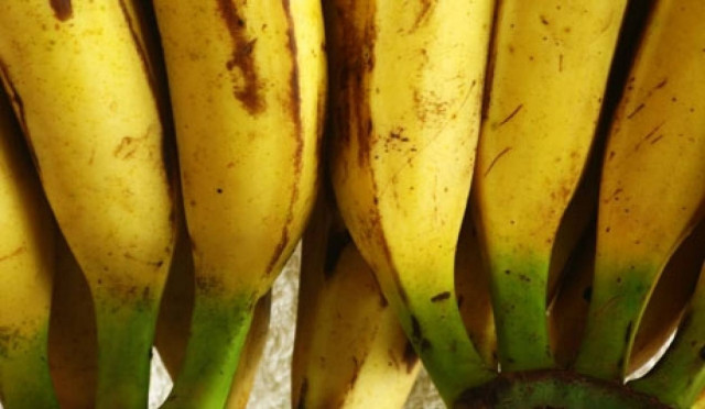 Βερολίνο: Βρέθηκαν 140 κιλά κοκαΐνης σε αλυσίδα σούπερ μάρκετ