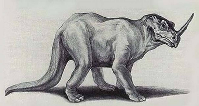 Το μυστηριώδες Emela-ntouka του Κονγκό