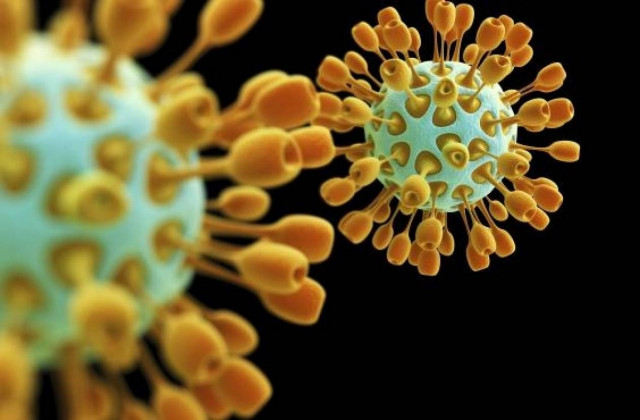 Νεκρός ένας Καναδός από τη γρίπη των πτηνών