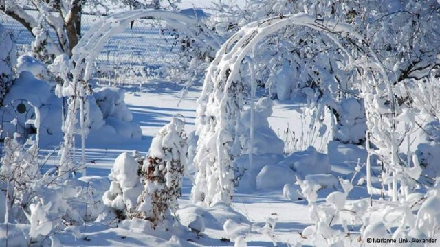 Τα καπρίτσια του καιρού-Τι λένε οι επιστήμονες