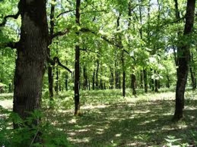 Στη δημοσιότητα τα ονόματα της οργάνωσης που κατέστρεφε το περιβάλλον