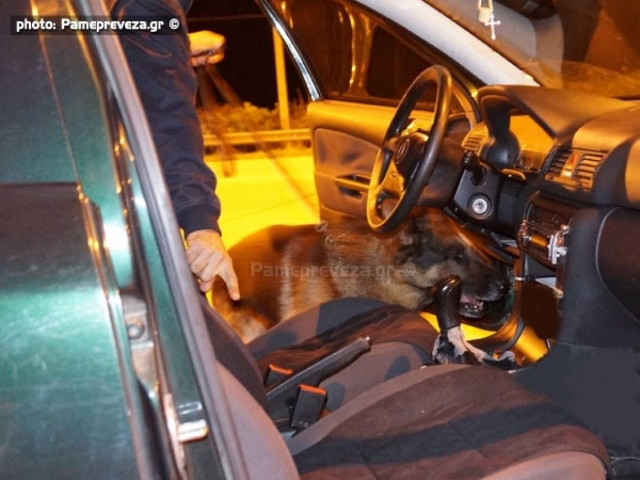 Πρέβεζα: Ο σκύλος μύρισε τα ναρκωτικά