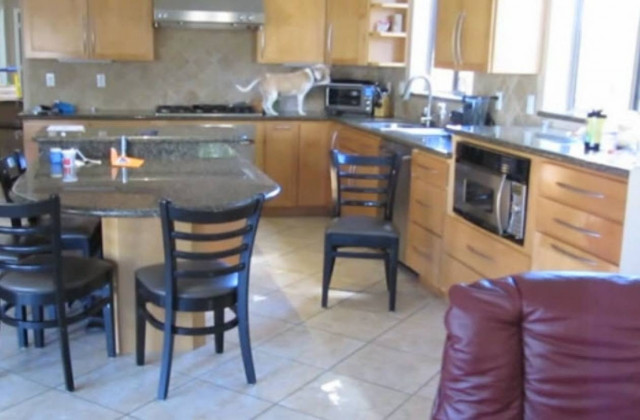 Απίστευτος σκύλος «κλέβει» το φαγητό από τον φούρνο! (βίντεο)