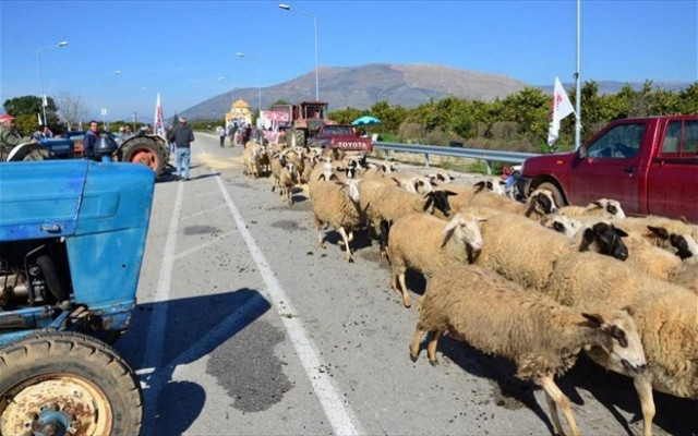 Θεσσαλονίκη: Αναστατωμένοι οι αγρότες από τις κλοπές στα χωράφια τους