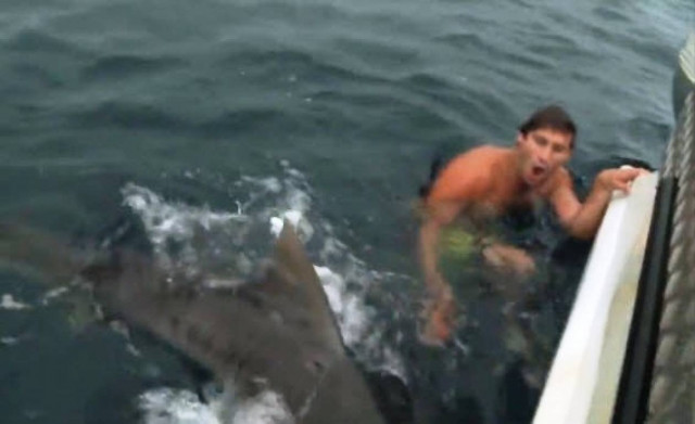 Ήρθε αντιμέτωπος με καρχαρία και παραλίγο να πάει από καρδιά! (βίντεο)
