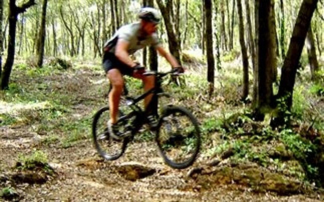 Εφιάλτης: Μετά το ατύχημα υπέφερε από... στύση επί πέντε εβδομάδες