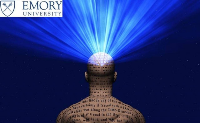 Τι προκαλεί η ανάγνωση ενός βιβλίου στον εγκέφαλό μας...