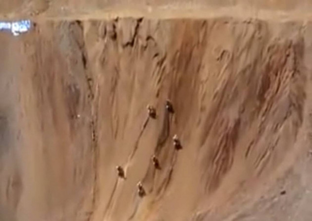 Αυτό θα πει ανάβαση με μοτοσυκλέτα! (βίντεο)