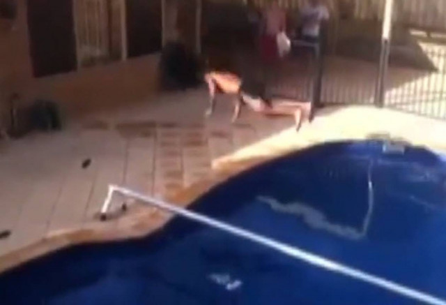 Για ελάχιστα εκατοστά δεν «έφαγε» το κεφάλι του! (βίντεο)