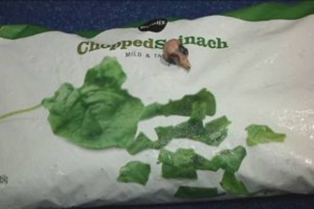 Βρήκε το κρανίο ενός πουλιού μέσα στο... σπανάκι της!(vid)