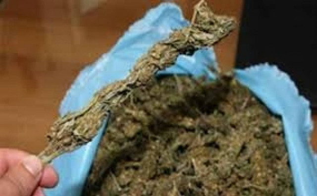 Κατερίνη: Μετέφεραν λαχανικά... με χασίς!