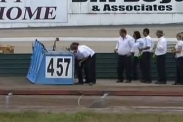 Νέα Ζηλανδία: Έτσι έζησαν τον σεισμό στις κυνοδρομίες (video)