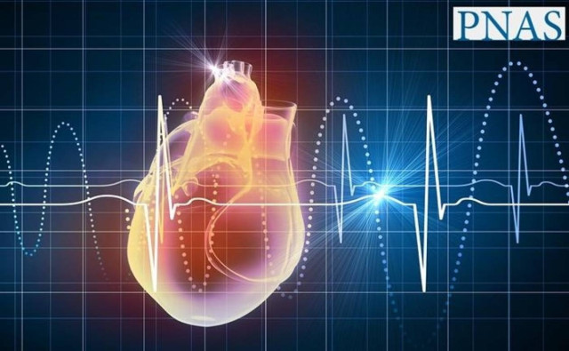 Στο μέλλον η καρδιά θα χρησιμεύει και ως… φορτιστής!