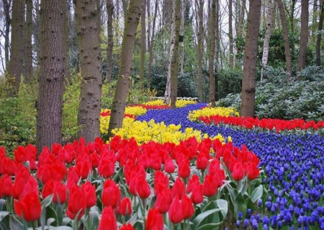 Δείτε φωτογραφίες από το μεγαλύτερο κήπο