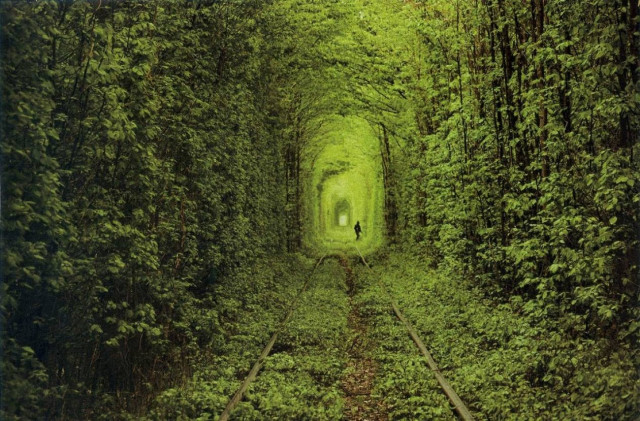 Το τούνελ της... αγάπης!