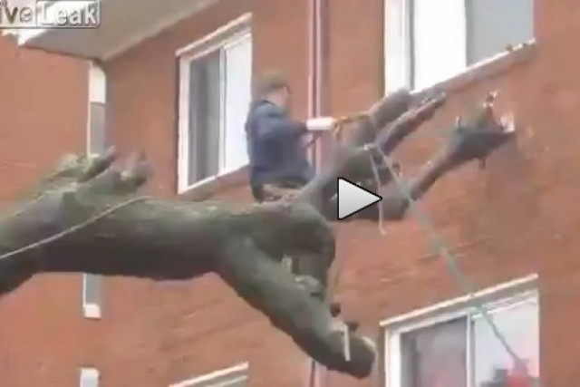 Βίντεο που σοκάρει: Πώς ΔΕΝ πρέπει να κόβετε ένα δέντρο