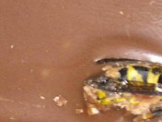 Μετά από αυτό δεν θα θέλετε να ξαναφάτε... σοκολάτα! Δείτε τι βρήκε