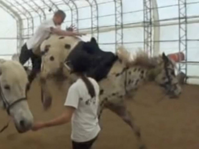 Το άλογο δεν είχε κέφια... (βίντεο)